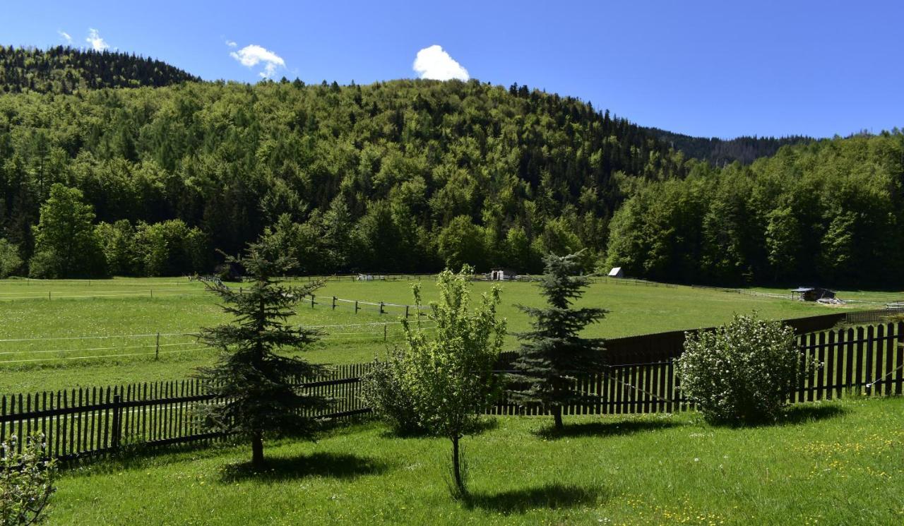 Apartament Rojka Zakopane Zewnętrze zdjęcie