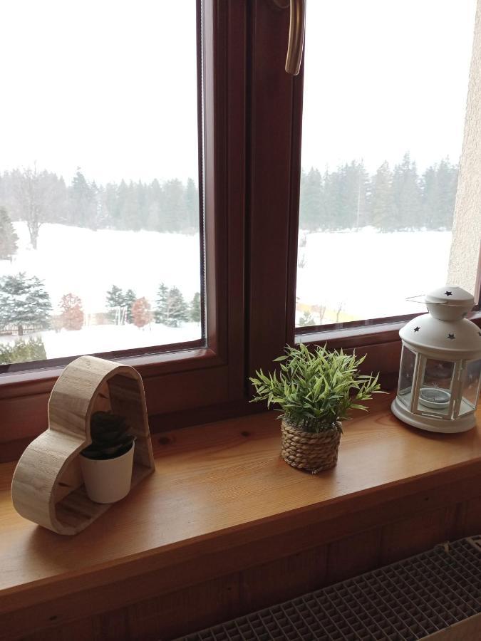 Apartament Rojka Zakopane Zewnętrze zdjęcie