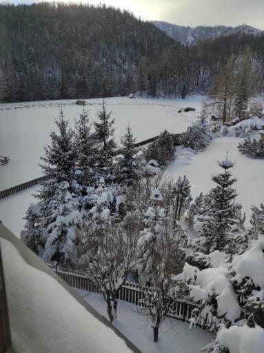 Apartament Rojka Zakopane Zewnętrze zdjęcie