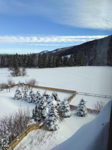 Apartament Rojka Zakopane Zewnętrze zdjęcie