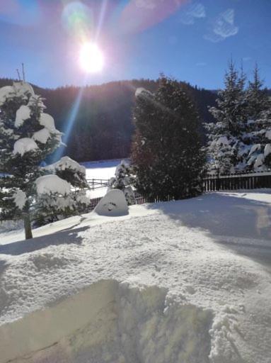 Apartament Rojka Zakopane Zewnętrze zdjęcie