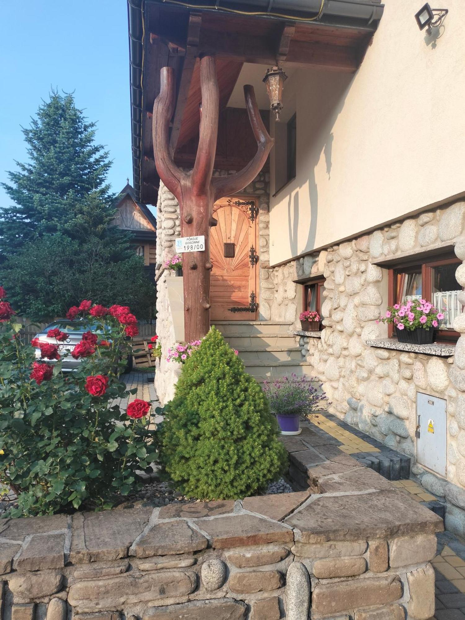 Apartament Rojka Zakopane Zewnętrze zdjęcie